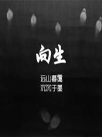 向死无途 向死无途