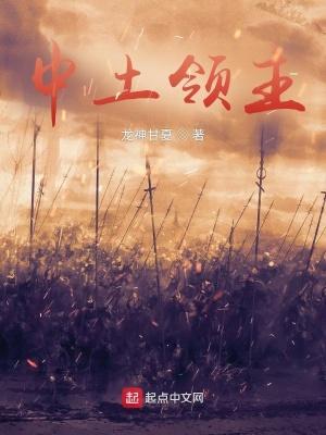 魔戒中土领主TX 魔戒中土领主TX