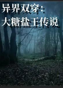 异界双穿大糖盐王传说作者光线 异界双穿大糖盐王传说作者光线