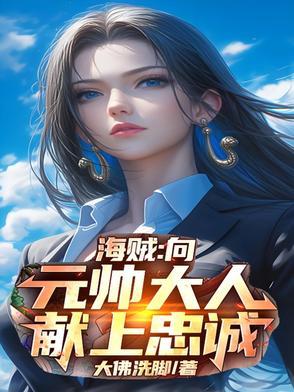 海贼元帅 海贼元帅