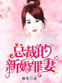 总裁的新婚罪妻2 总裁的新婚罪妻2