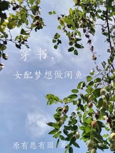 穿书 穿书