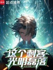 这个刺客有毛病顶点 这个刺客有毛病顶点