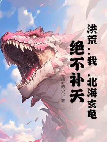 北海玄龟 北海玄龟