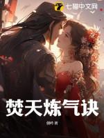 焚天炼体诀 焚天炼体诀