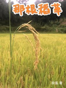 一根稻草的启示作文