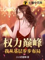 权力巅峰继续阅读目录5520