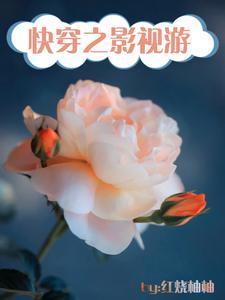 快穿之影视剧 快穿之影视剧