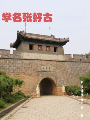 张好好诗书法特色 张好好诗书法特色