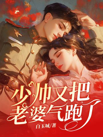 少帅老婆你又跑了 少帅老婆你又跑了