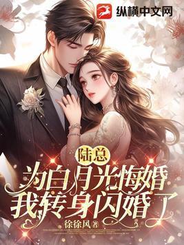 男主叫陆总的 男主叫陆总的