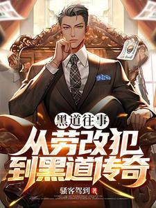 黑道往事之二十年电视剧 黑道往事之二十年电视剧