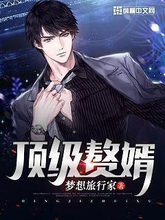 顶级赘婿叶欢 顶级赘婿叶欢