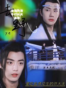 忘羡的孩子们从天而降10 忘羡的孩子们从天而降10