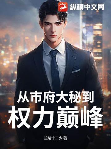从市府大秘到权力巅峰的 从市府大秘到权力巅峰的