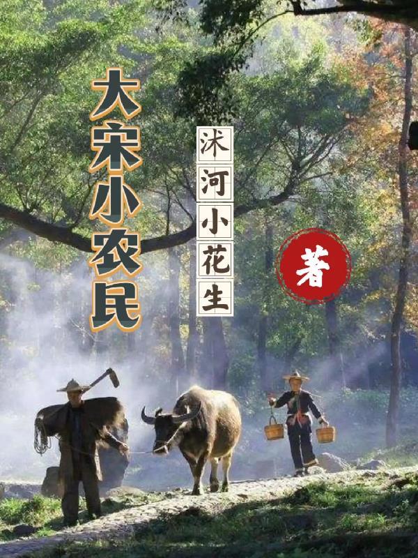 大宋小土匪 大宋小土匪