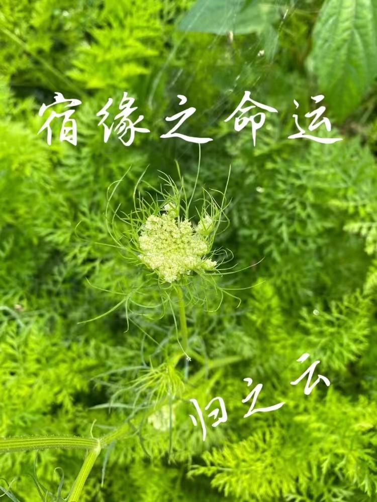 我退圈吃上国家饭了免费阅读 我退圈吃上国家饭了免费阅读