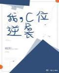 你家公主又出去拼命了免费阅读 你家公主又出去拼命了免费阅读