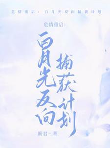 揉碎月光免费阅读番外 揉碎月光免费阅读番外